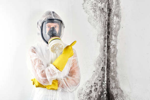 Mold Remediation for Rental Properties in Chester, IL